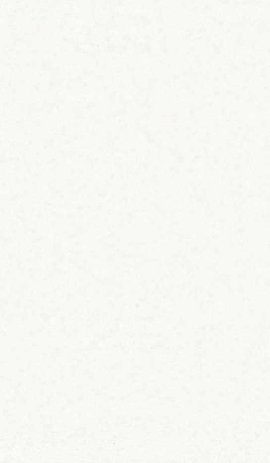 Carrara Frost slab Zero by Aurea Stone